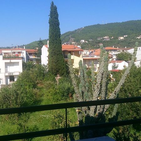 Pansion Chrisa Hotel Skiathos Town Ngoại thất bức ảnh