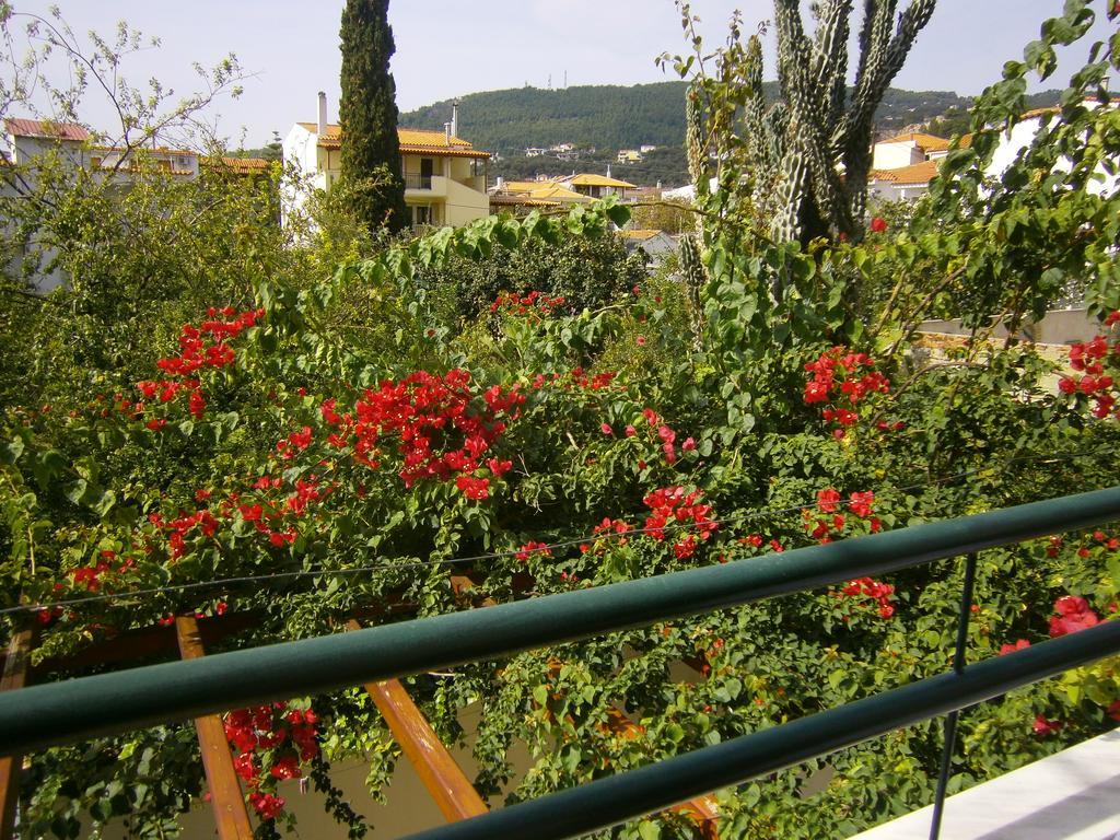 Pansion Chrisa Hotel Skiathos Town Ngoại thất bức ảnh